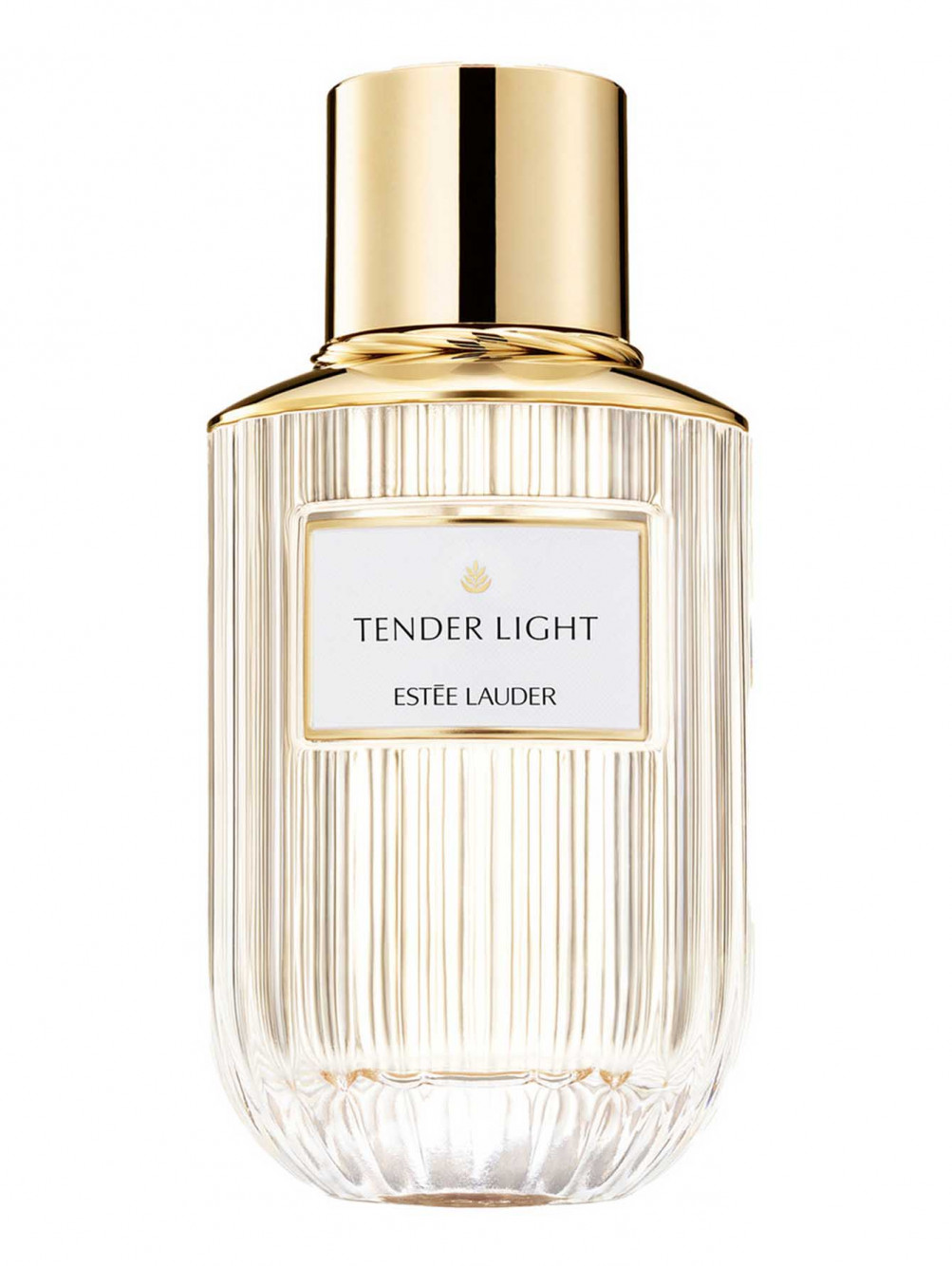 Парфюмерная вода Tender Light, 100 мл - Общий вид