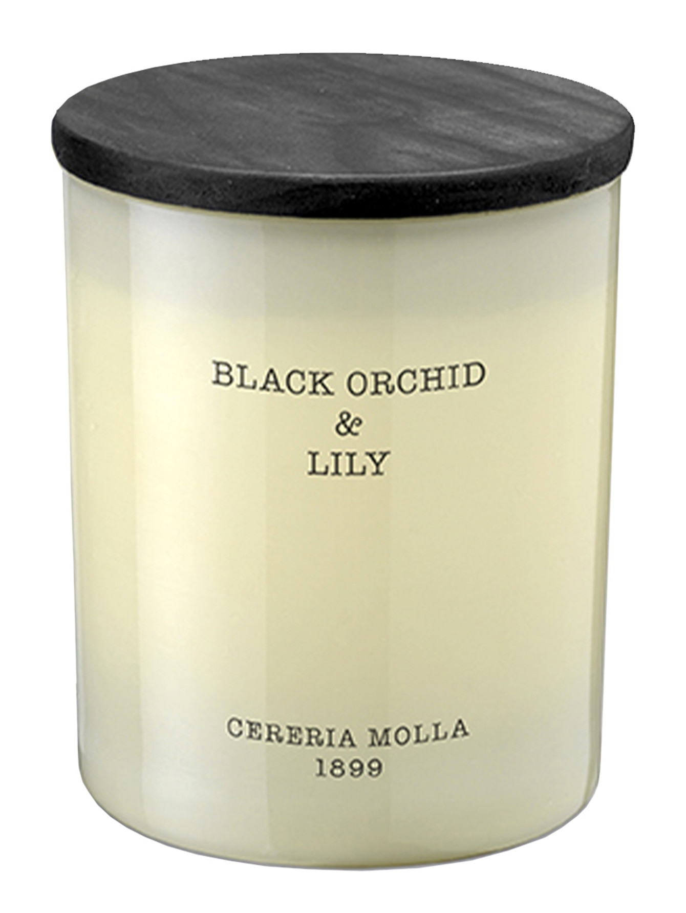 Свеча Black Orchid & Lily 230 г - Общий вид
