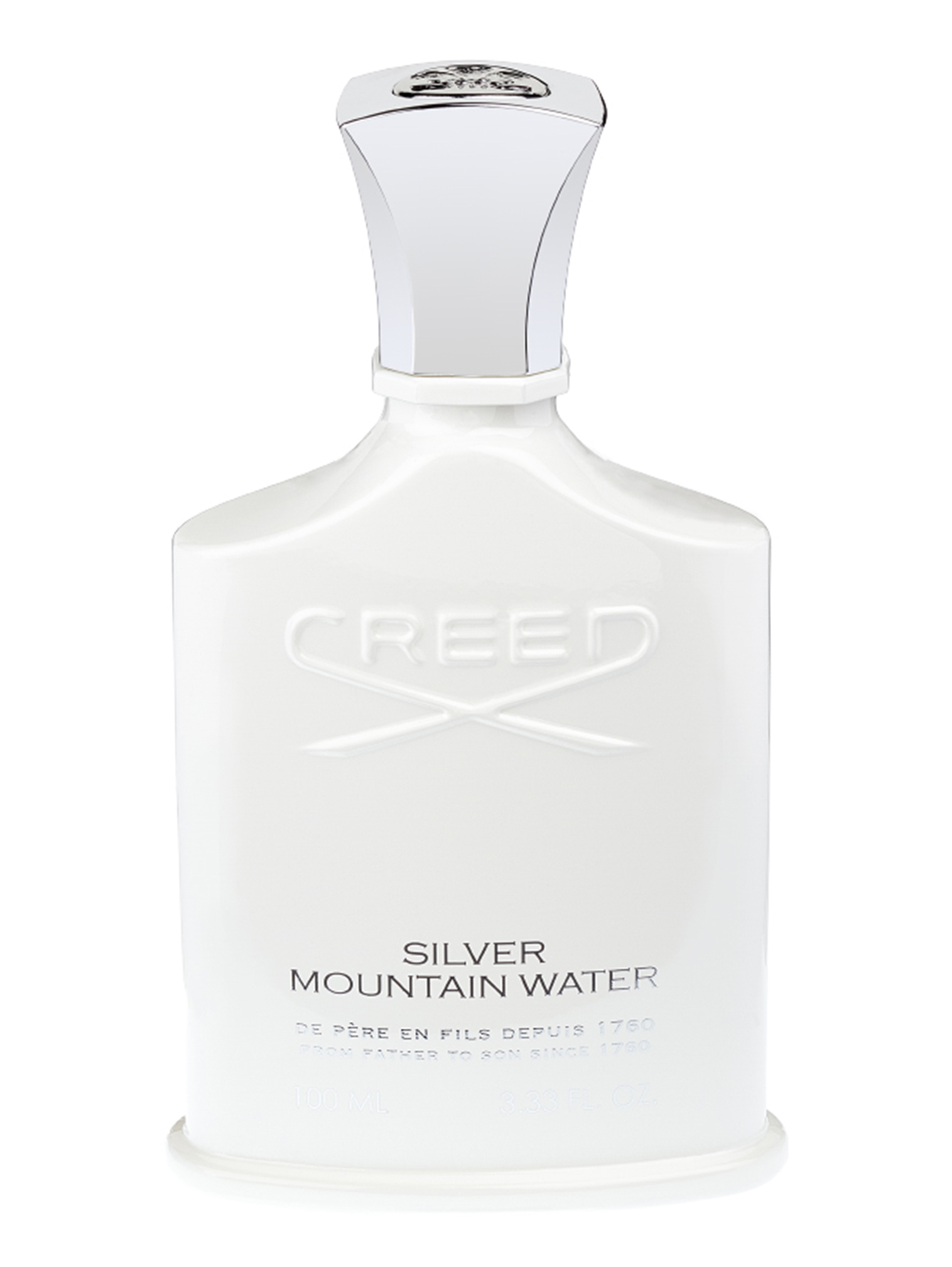 Парфюмерная вода 100 мл Silver Mountain Water - Общий вид