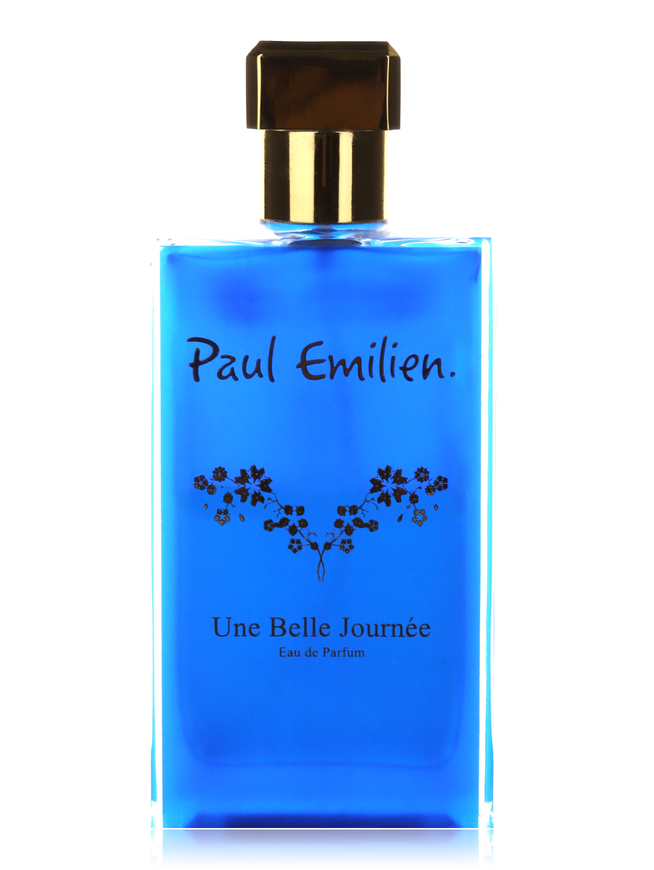 Парфюмерная вода - Une Belle Journee, 50ml - Общий вид