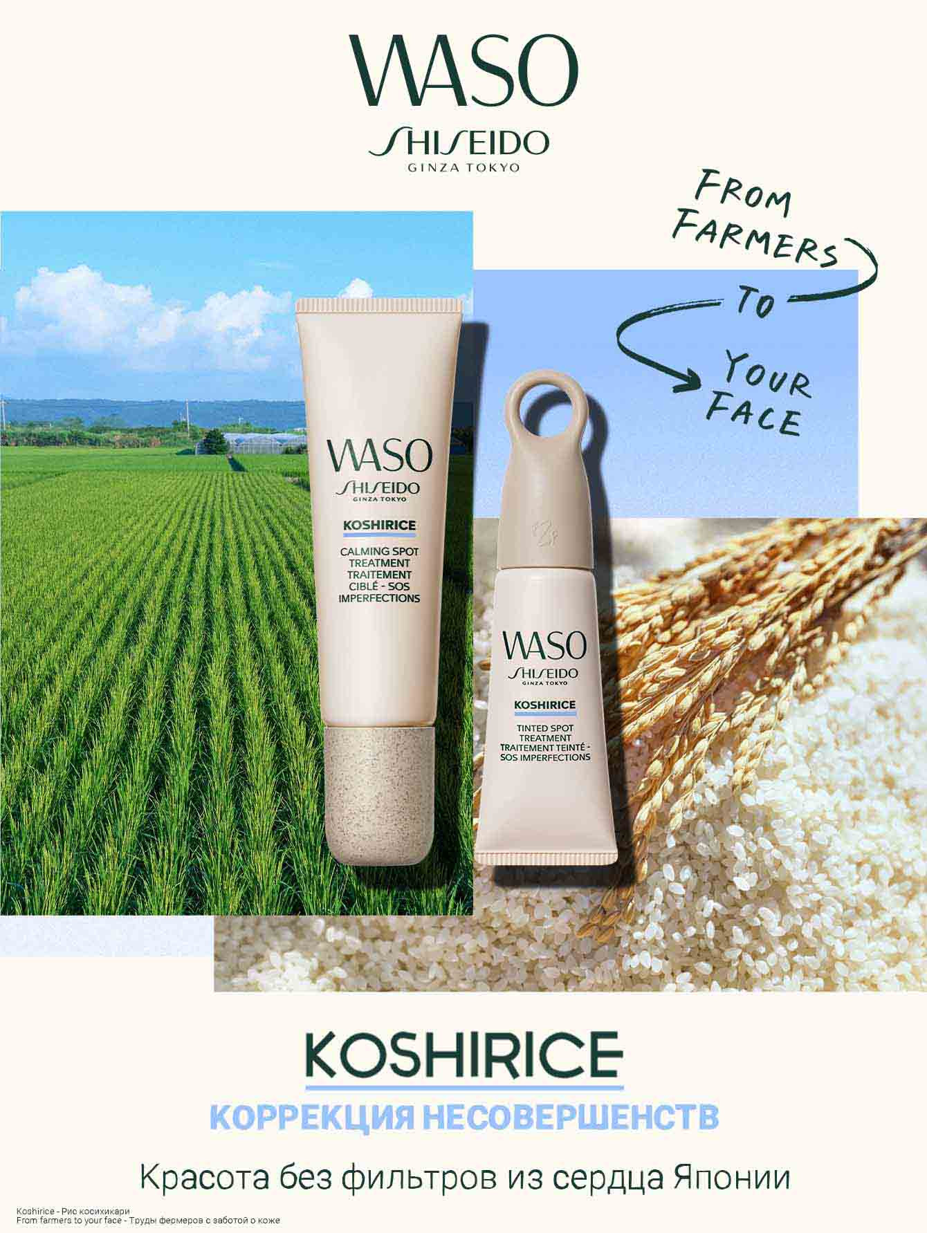 SHISEIDO WASO KOSHIRICE Тонирующее средство для проблемной кожи, Golden Ginger, 8 мл - Обтравка4