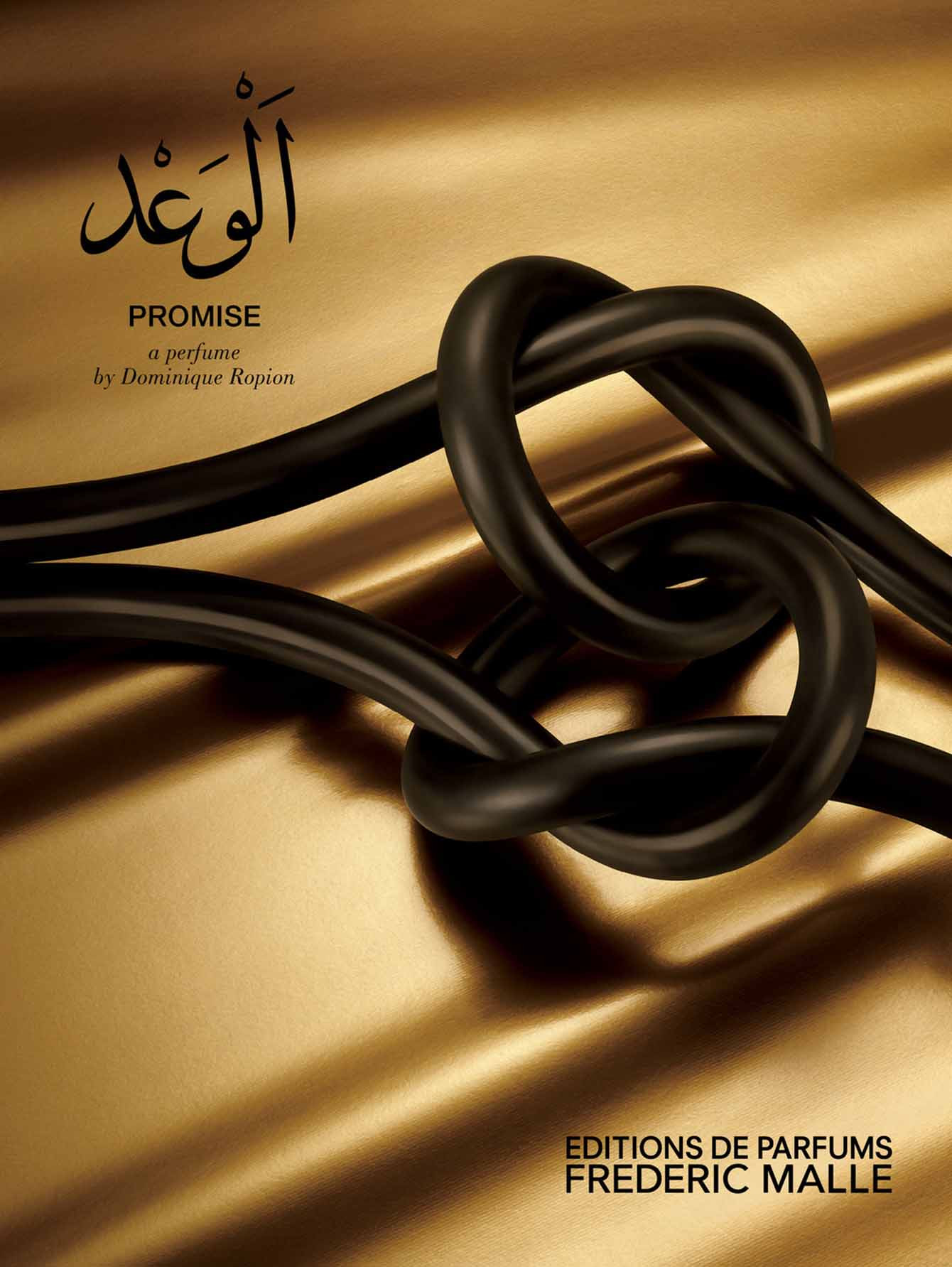 Парфюмерная вода Promise, 50 мл - Обтравка4