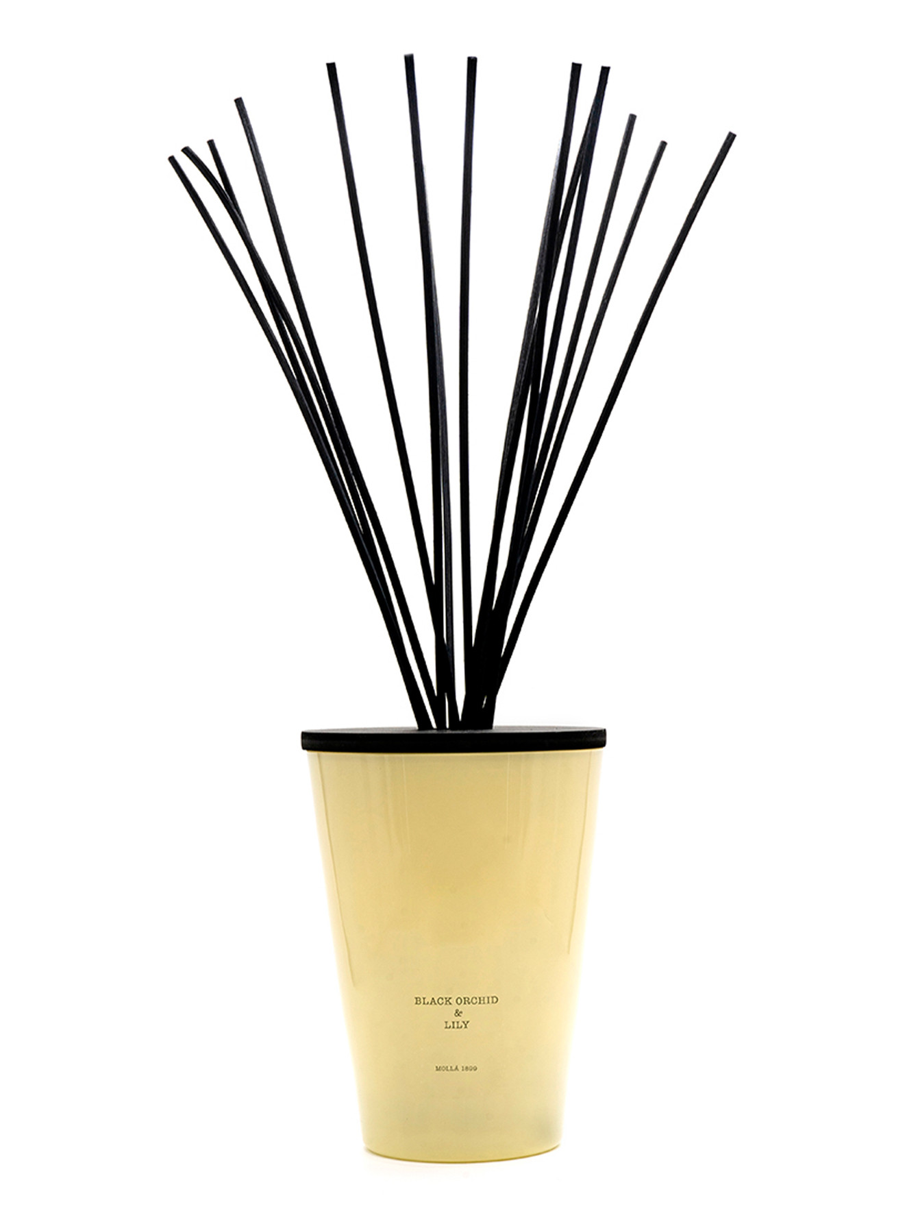 Диффузор с палочками Black Orchid & Lily, 3000 мл - Общий вид